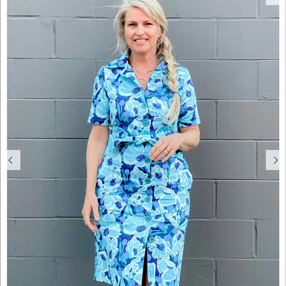 Lesley Evers Willow Blue Peony Dress NWT - Picture 1 of 8